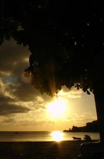 kaplumbağa dünyası www.turgaybora.org