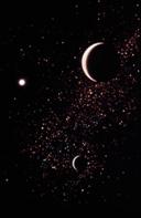 kaplumbağa dünyası www.turgaybora.org